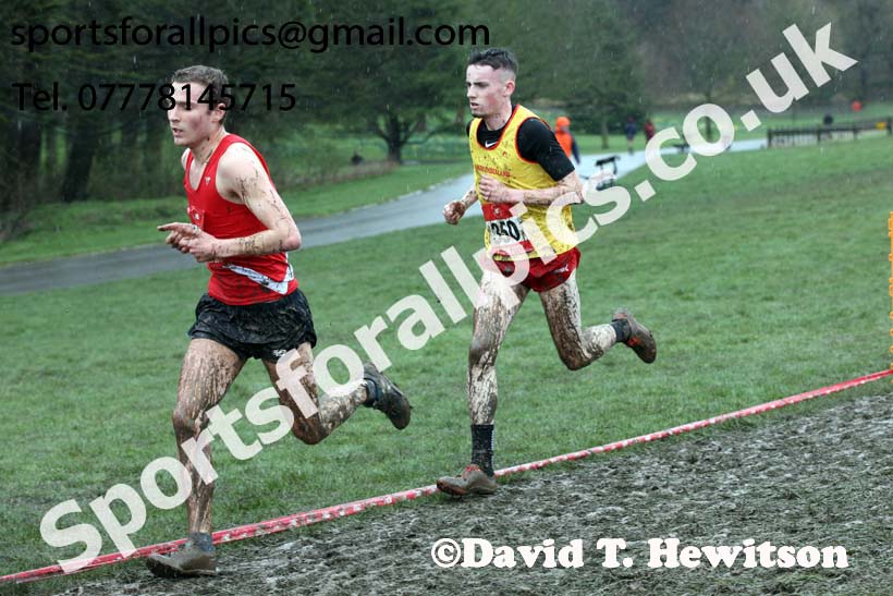 Senior boys 2019 New Balance English Schools Cross Country Champs, Temple Newsam, Leeds. Photo:  David T. Hewitson/Sports for All Pics